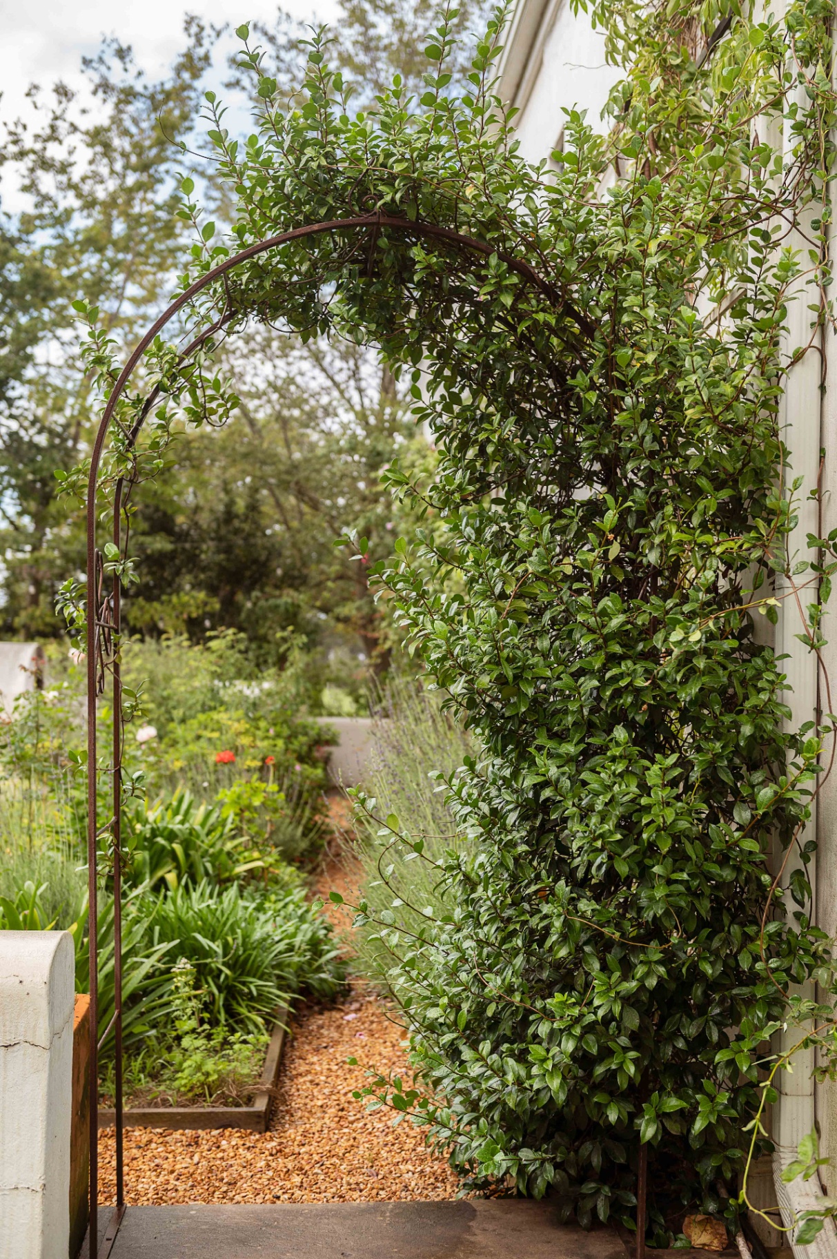 Wrought-iron garden arch leading into the rose garden