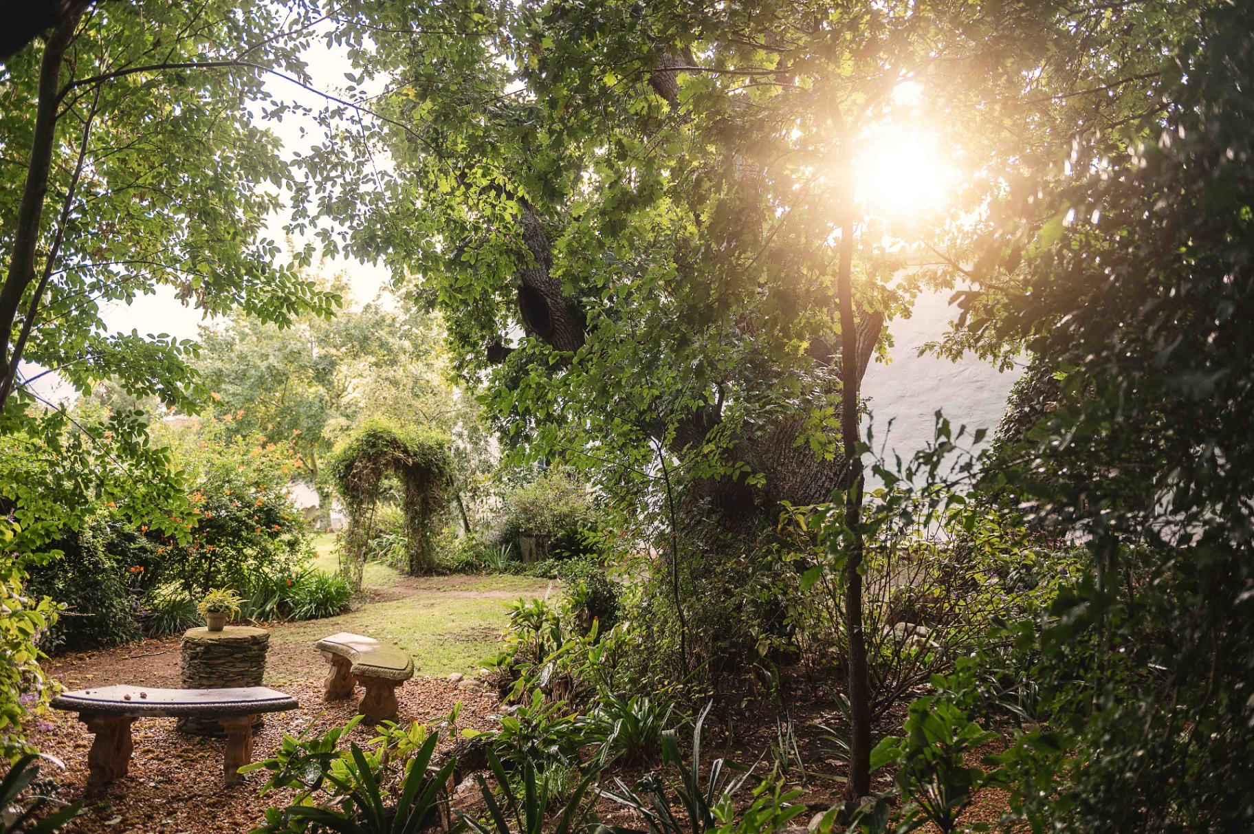 Tranquil garden seating beneath the old oak tree
