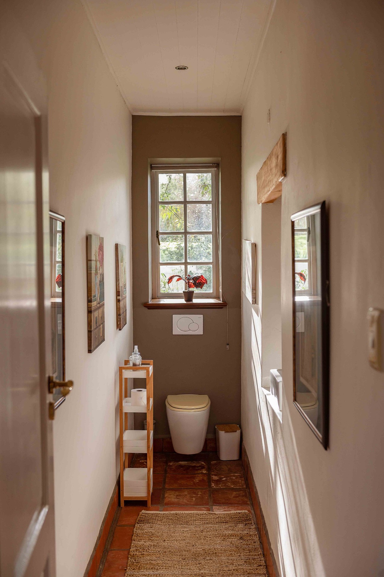 Sunlit guest powder room with terracotta floor